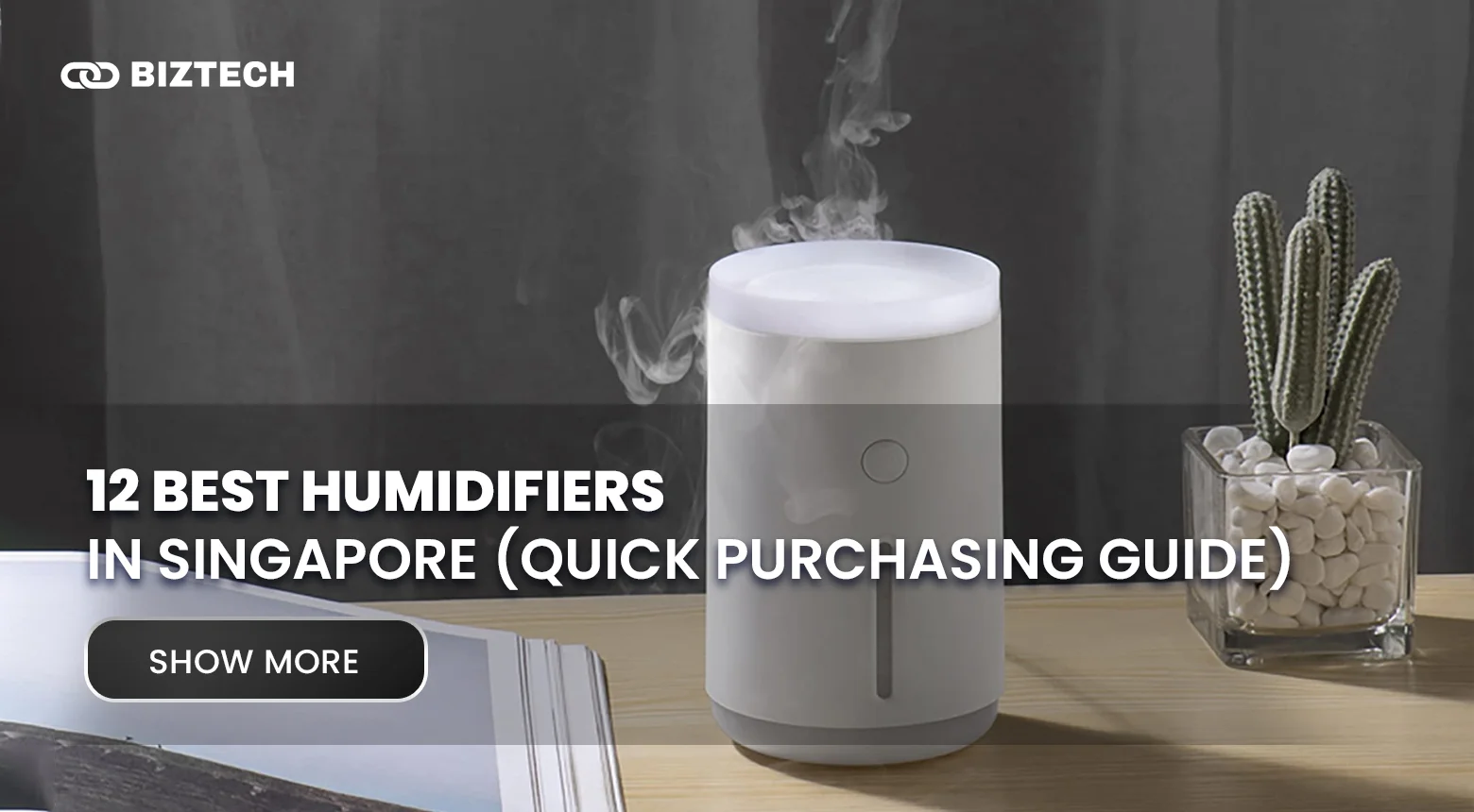 12 Best Humidifiers in Singapore For 2024 (Quick Purchasing Guide)