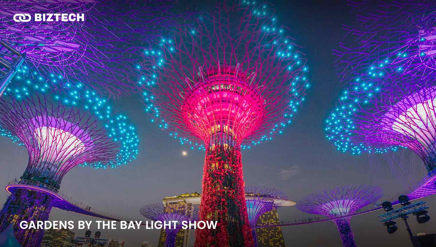 Gardens by the Bay Light Show