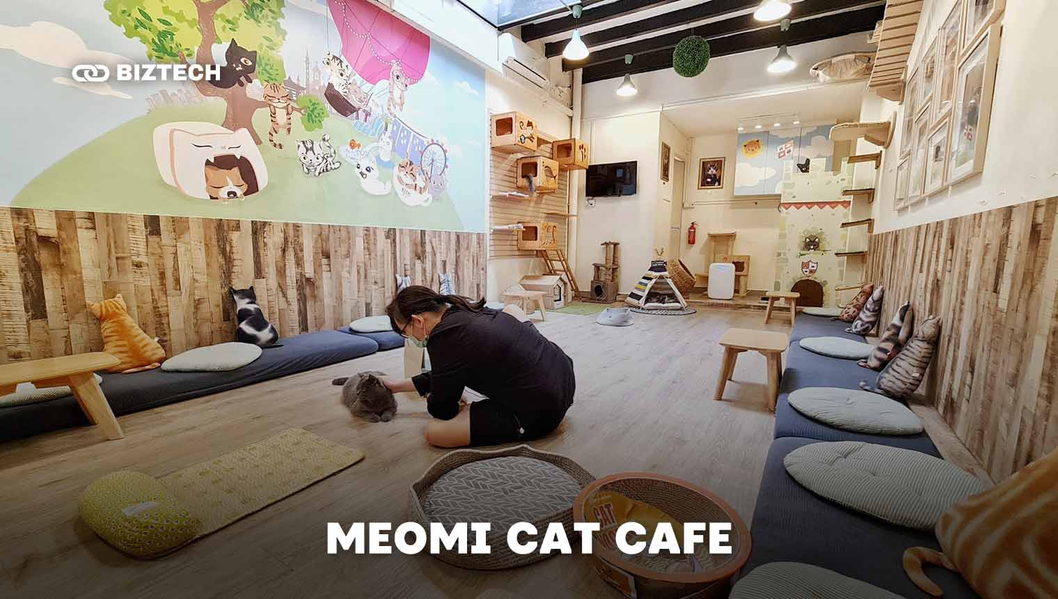 Meomi Cat Cafe