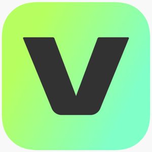 Veed.io