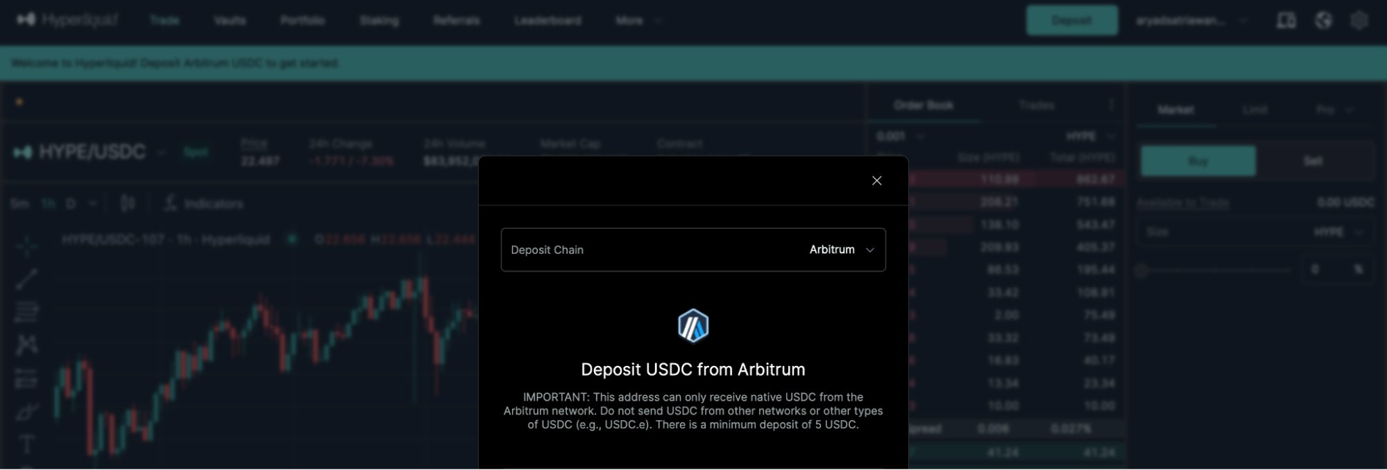 USDC Deposits on Hyper Liquid USDC Deposits on Hyper Liquid