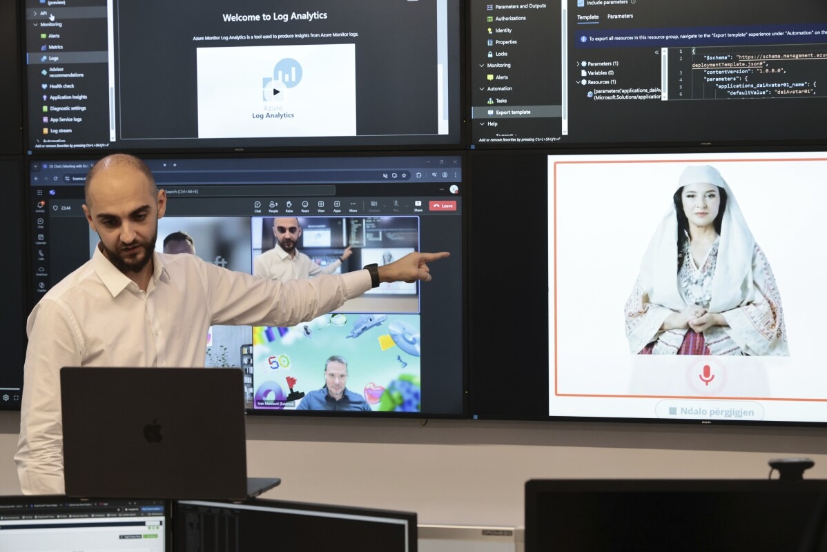 Diella’s Role and Functionality