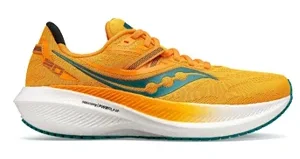 Saucony Triumph 20