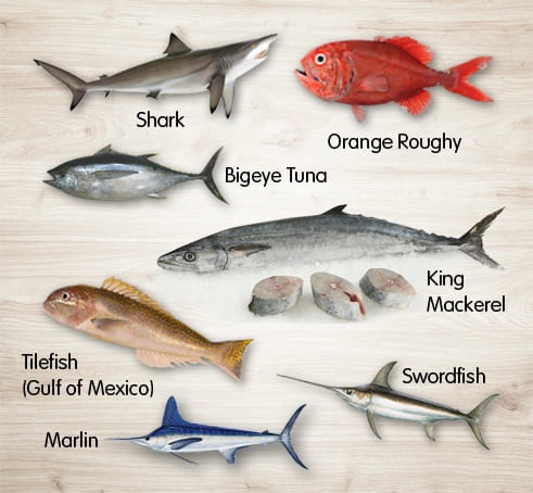 fish to avoid during pregnancy