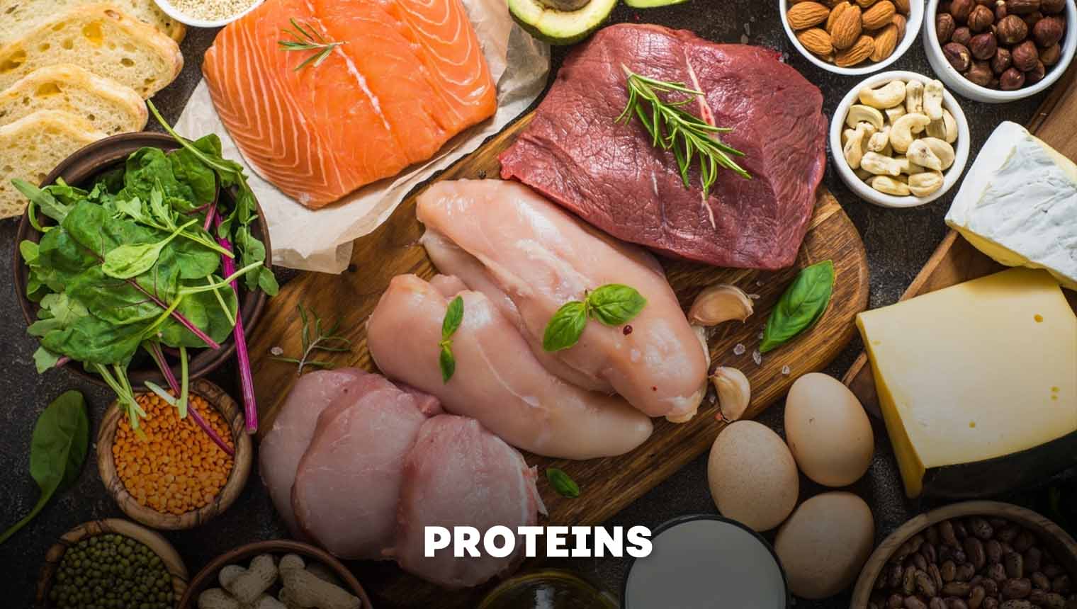 Proteins