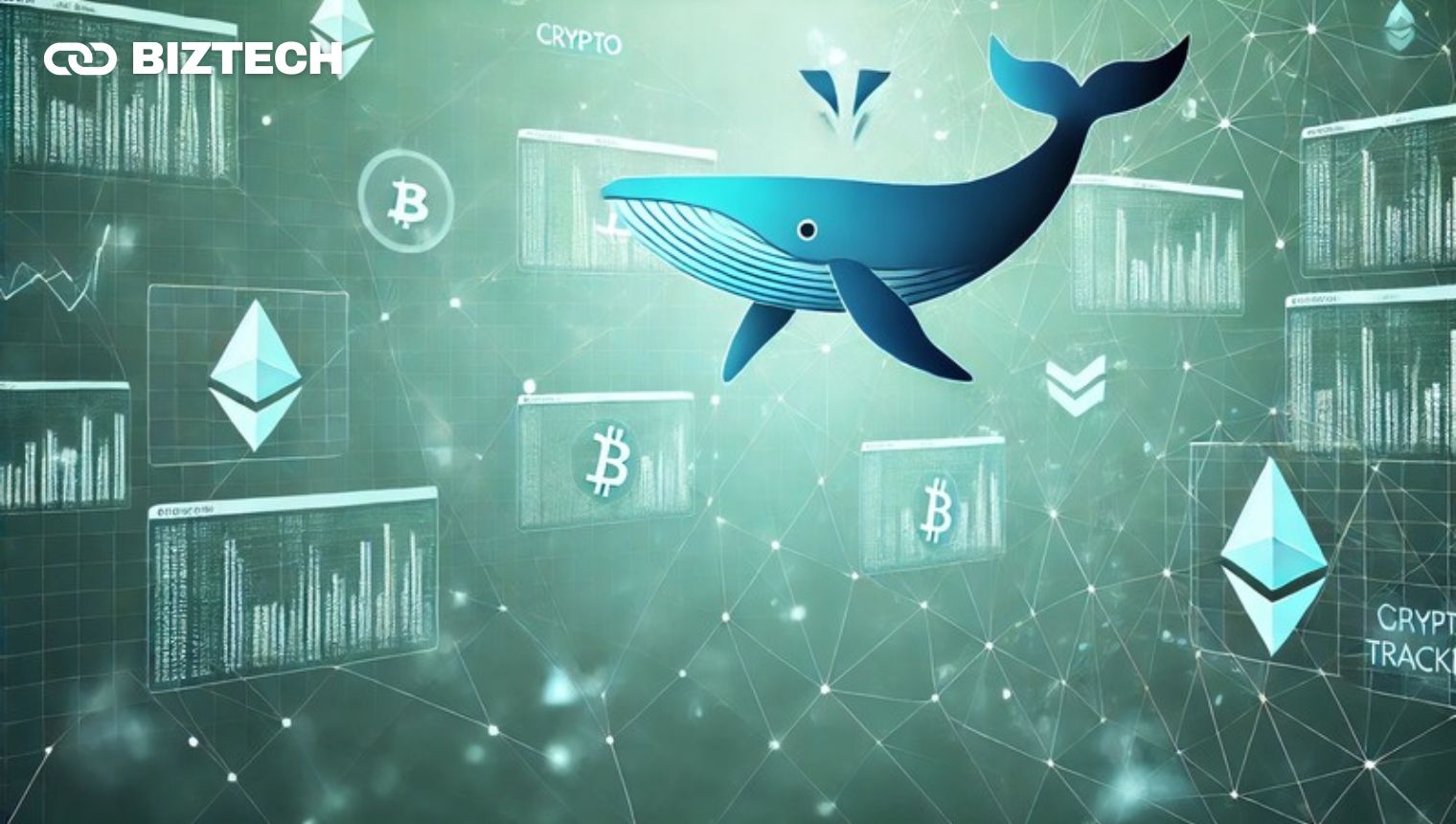 Top 5 Crypto Whale Tracker Tools to Monitor Market Movements in Real-Time