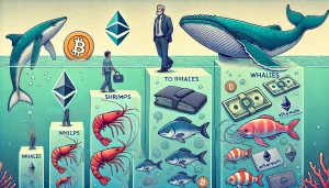 From Shrimps to Whales: Knowing the Holder Crypto Hierarchy