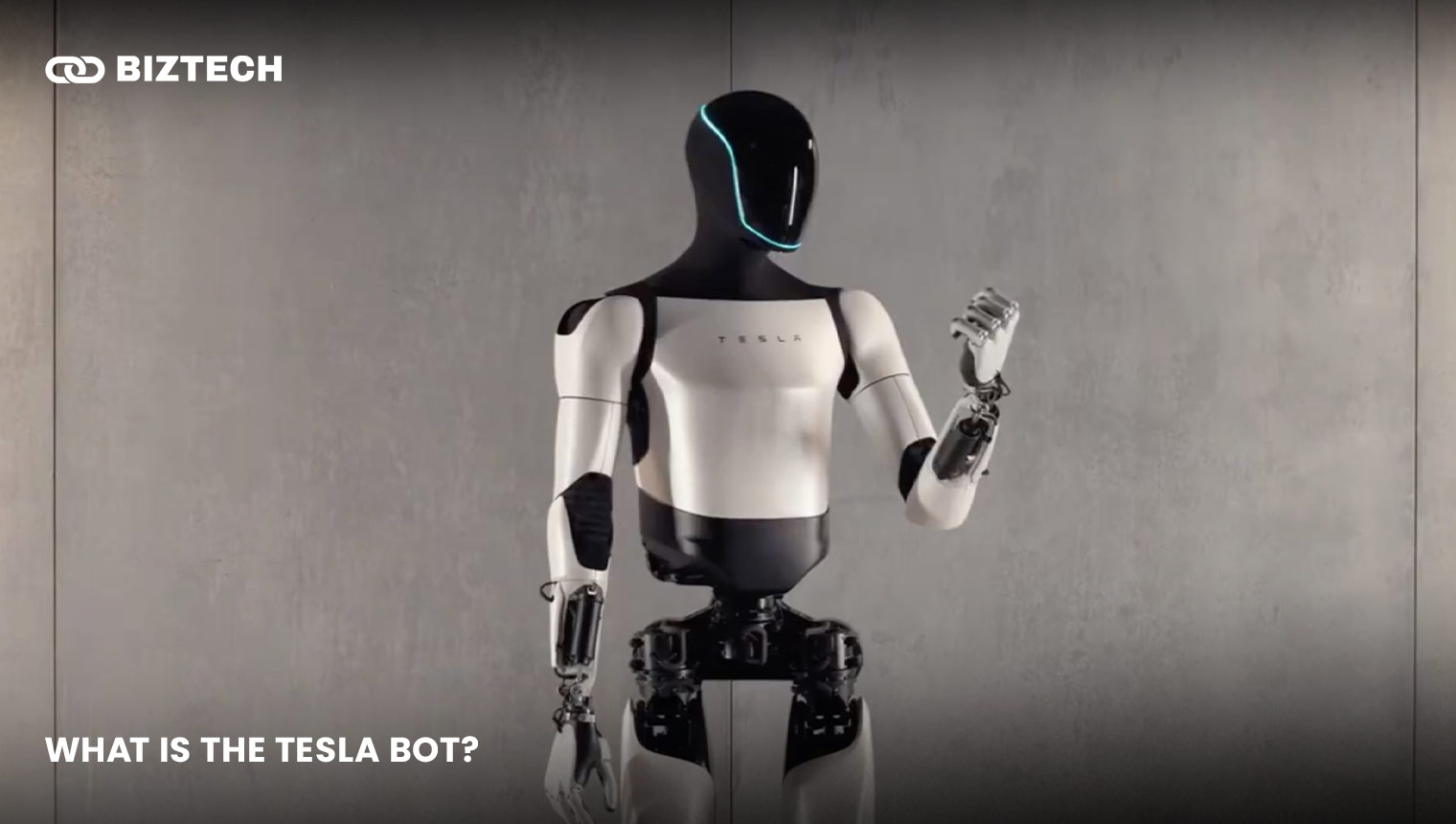 What is the Tesla Bot_