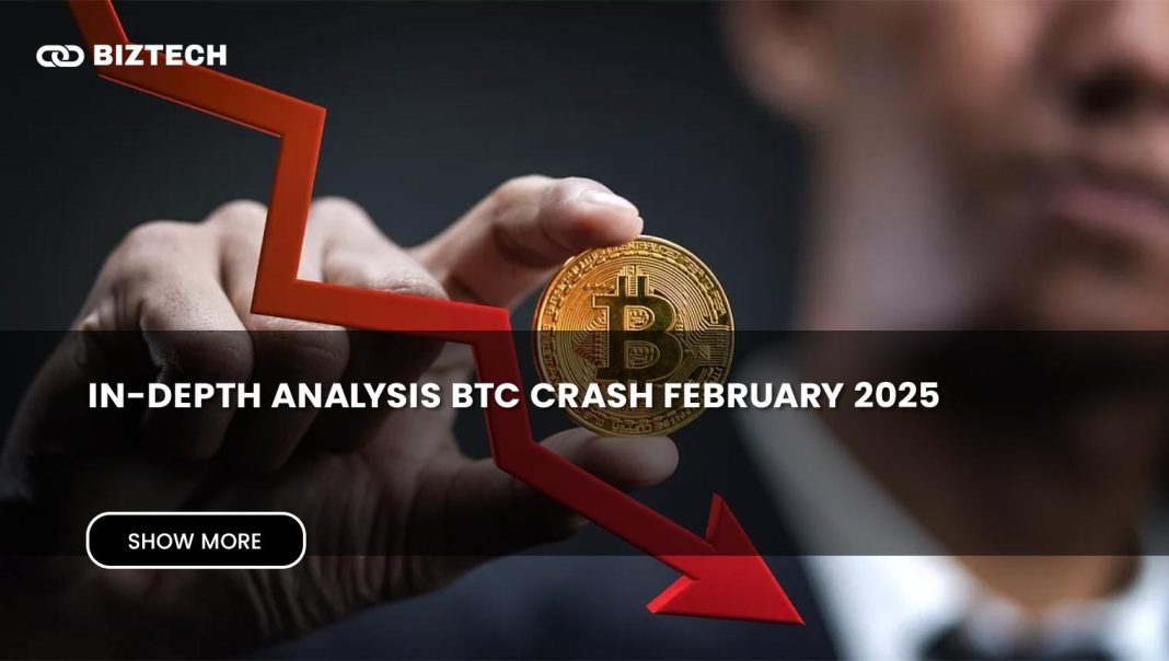 In-Depth Analysis BTC Crash February 2025: A Fair Correction or the ...