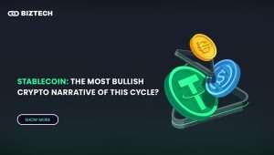 Stablecoin: The Most Bullish Crypto Narrative of This Cycle?
