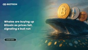 Whales are buying up Bitcoin as prices fall, signaling a bull run?