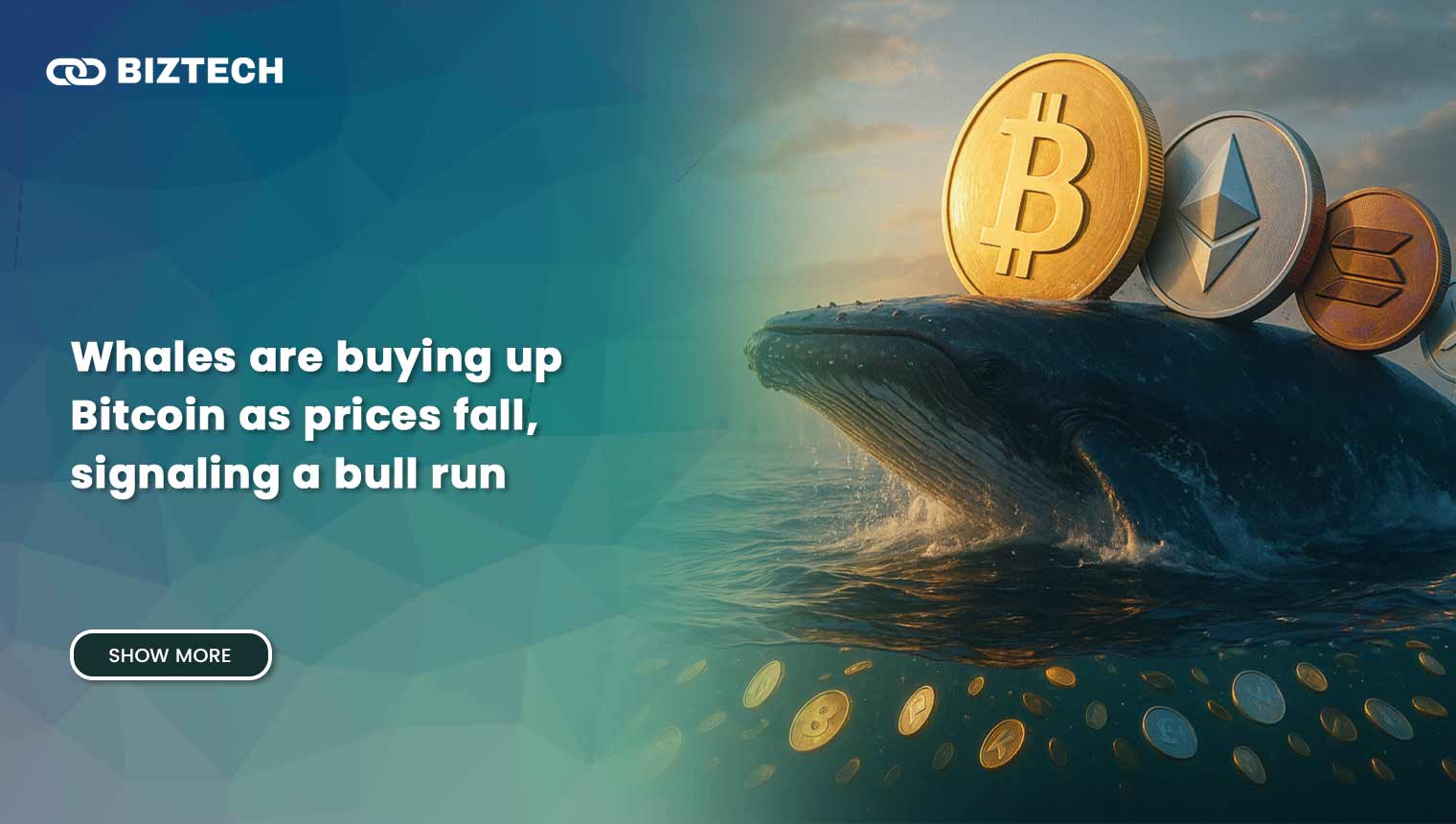 Whales are buying up Bitcoin as prices fall, signaling a bull run?