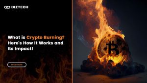 What is Crypto Burning? Here’s How It Works and Its Impact!