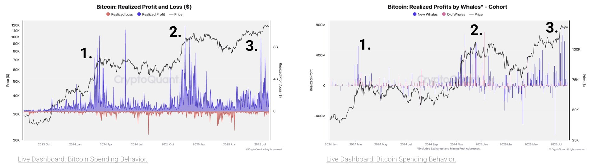 Whale Activity: The Reason for the Sell-Off
