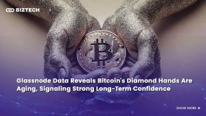 Glassnode Data Shows That Bitcoin’s Diamond Hands Are Getting Older, Which Is a Good Sign for Long-Term Confidence