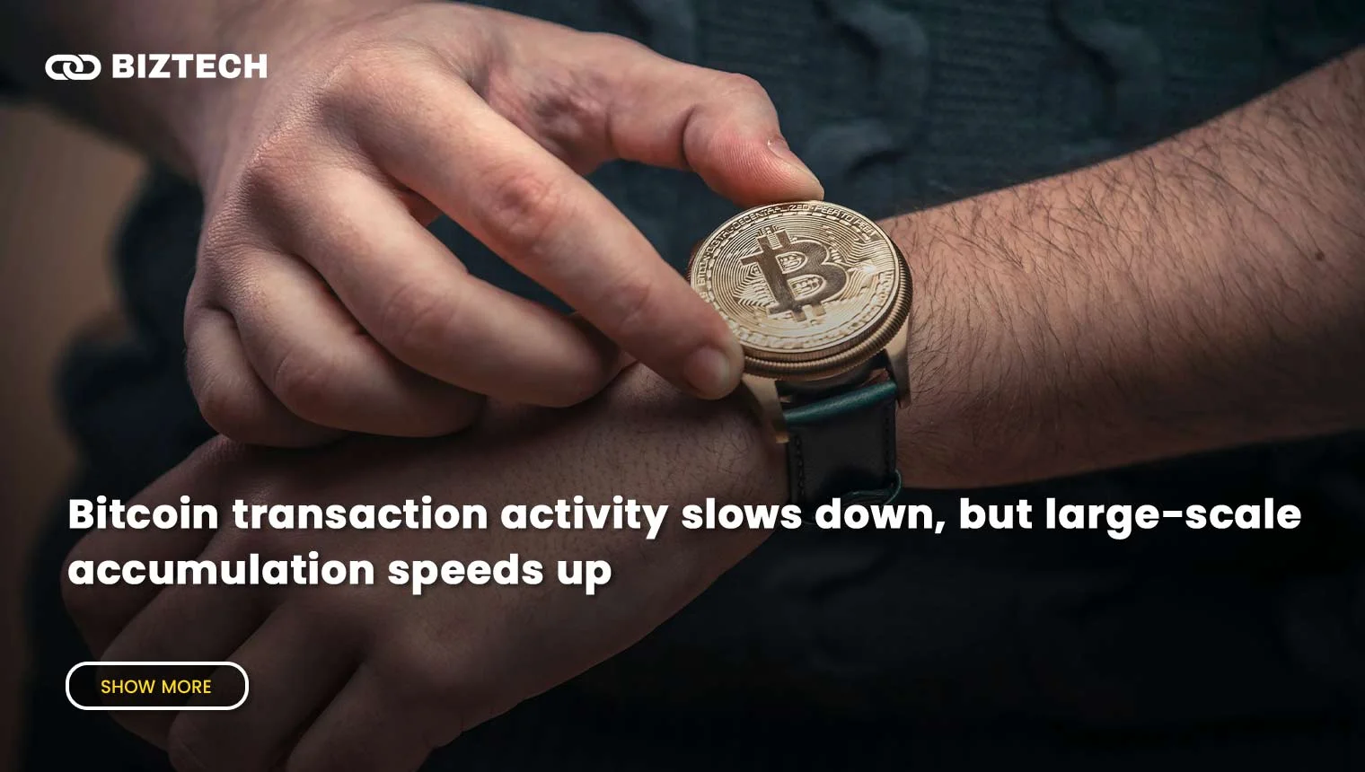 Bitcoin Transaction Activity Slows, Accumulation Speeds Up