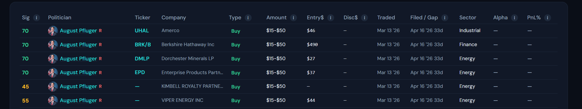 Case 1: The Energy Cluster (August Pfluger - R)